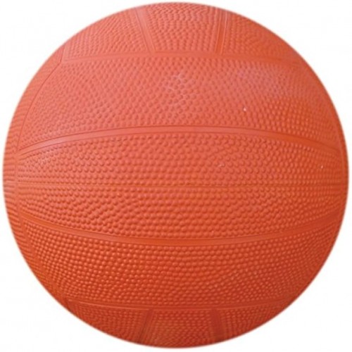 Net Ball